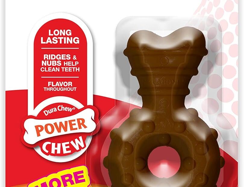 Ultimate Toughness: Nylabone Power Chew Ring for Aggressive Chewers