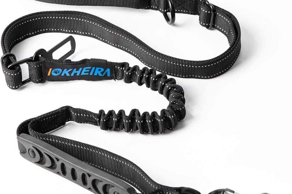 Unleash Adventure: Review of the IOKHEIRA Multifunctional Leash & Car Seatbelt for Dogs