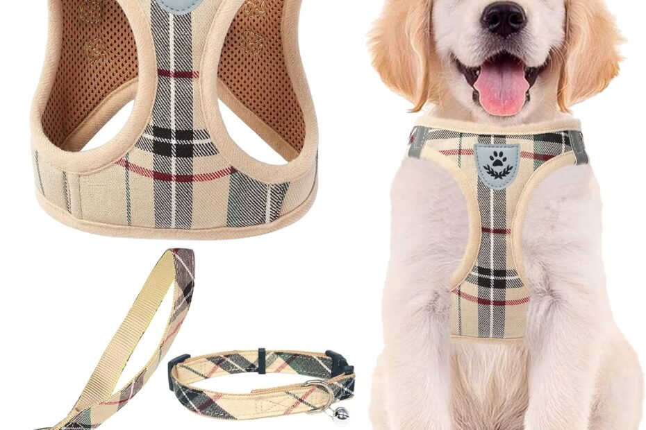 Unleash Adventure: The PUPTECK No Pull Dog Harness Set for Your Furry Companion!