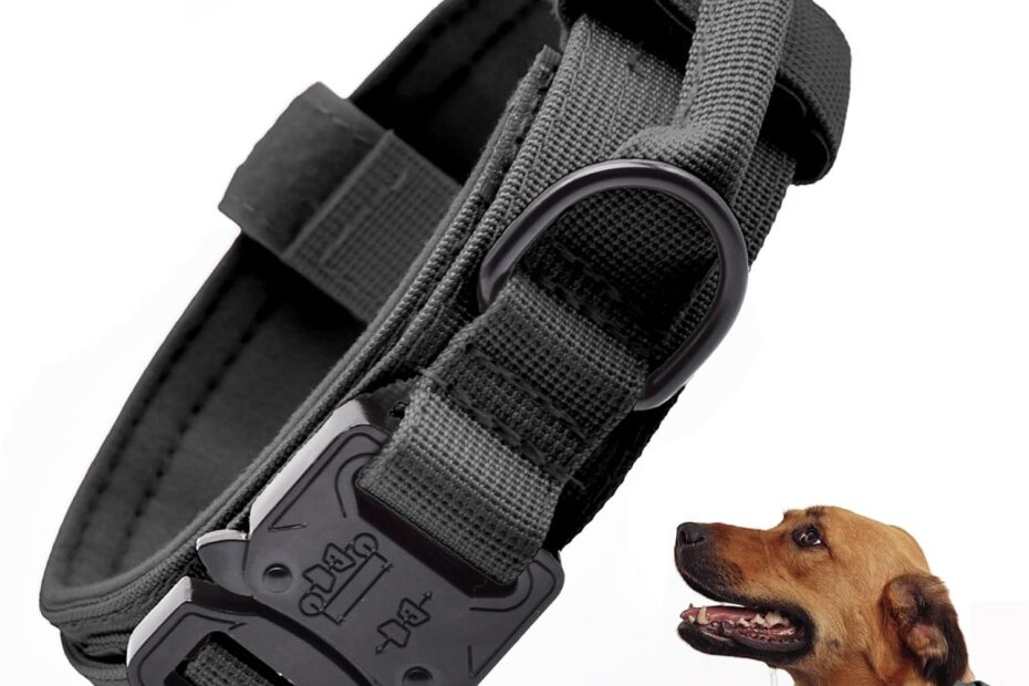Unleash Control: The Best Tactical Dog Collar for Every Adventure!