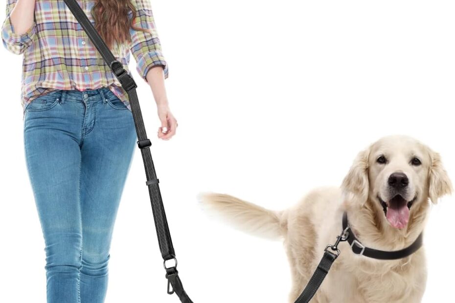 Unleash Freedom: The Ultimate Hands-Free Dog Leash Review