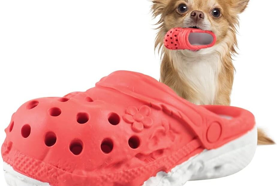 Unleash Fun: The Ultimate Durable Rubber Slipper Dog Chew Toy Review