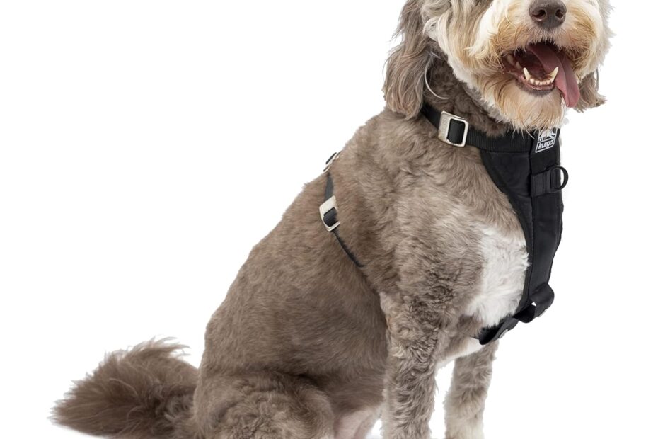 Unleash Safety: Review of the Kurgo Enhanced Strength Tru-Fit Dog Car Harness