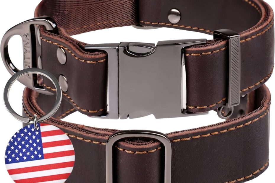 Unleash Style & Durability: ADITYNA Heavy-Duty Leather Dog Collar Review