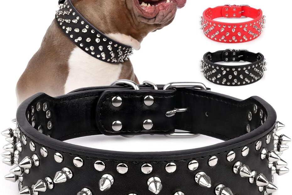 Unleash Style: Epesiri Adjustable Spiked Dog Collar Review