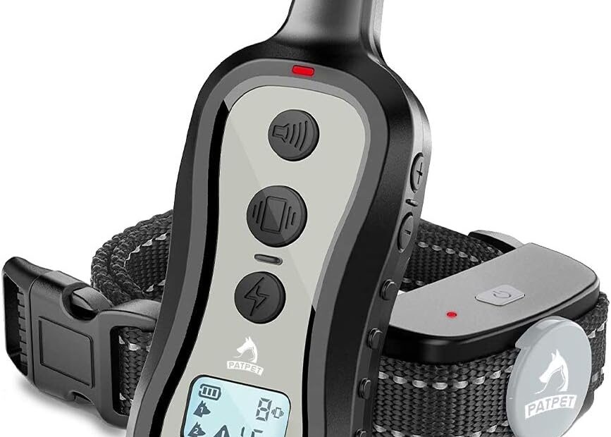 Unleash Success: Review of the PATPET Dog Training Collar with Remote