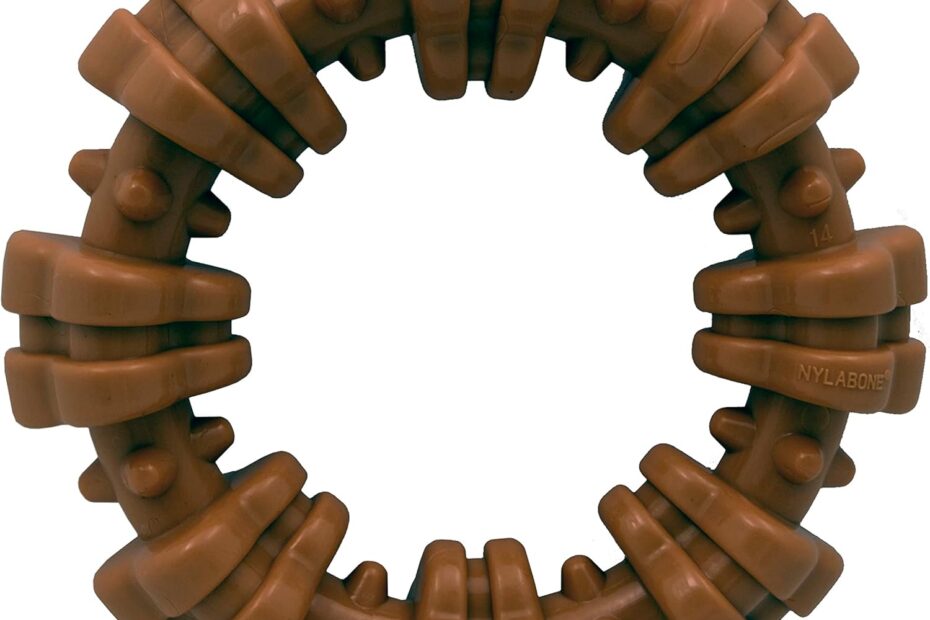 Unleash the Fun: Nylabone Textured Ring - The Ultimate Chew Toy for Small Aggressive Chewers!