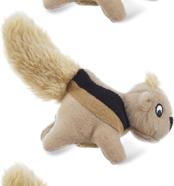 Unleash the Fun: Outward Hound Squeakin' Squirrels Plush Dog Toy Review!