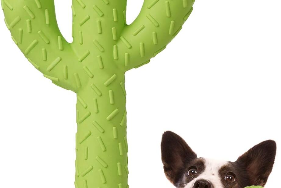 Unleash the Fun: Review of MewaJump Dog Chew Toys for Aggressive Chewers
