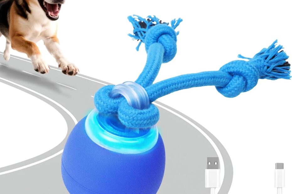 Unleash the Fun: Review of the Interactive Touch Activated Dog Ball!