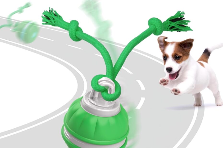 Unleash the Fun: Review of the Interactive Wicked Ball for Small Dogs!