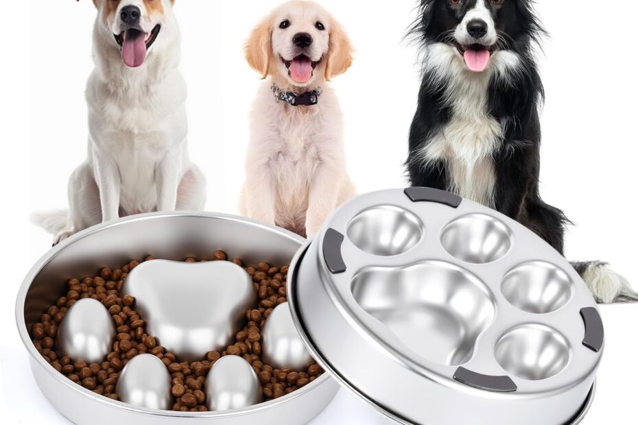 Unlock Mealtime with the Best Slow Feeder Dog Bowls: Review of the Stainless Steel Marvel!