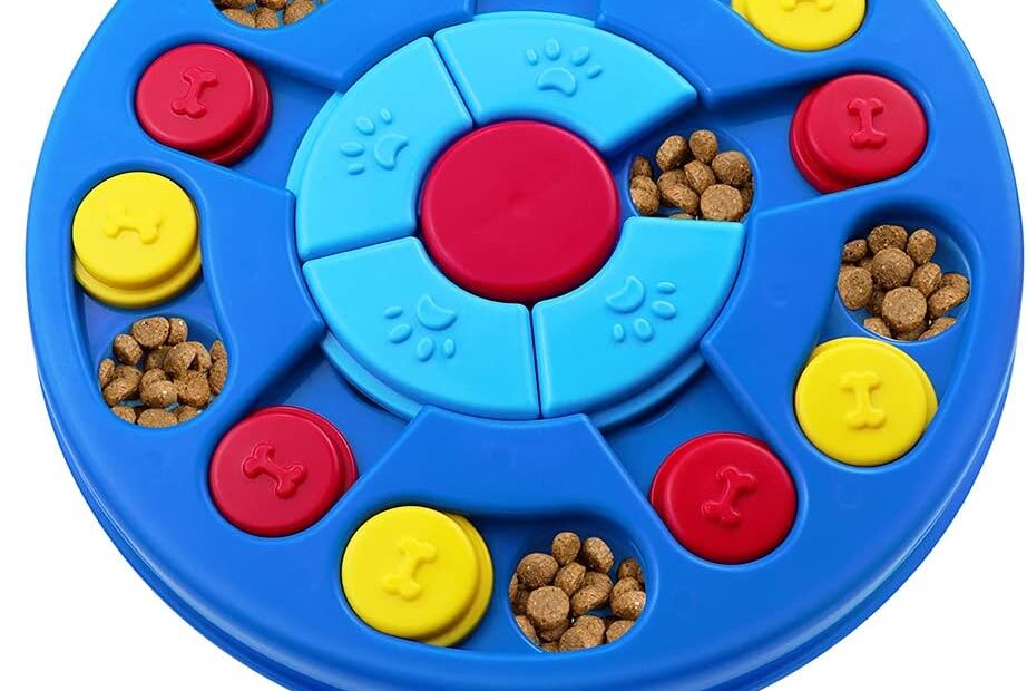 Unlock Your Pet's Potential: The Best Interactive Dog Puzzle Toys for Smart Dogs & Cats!