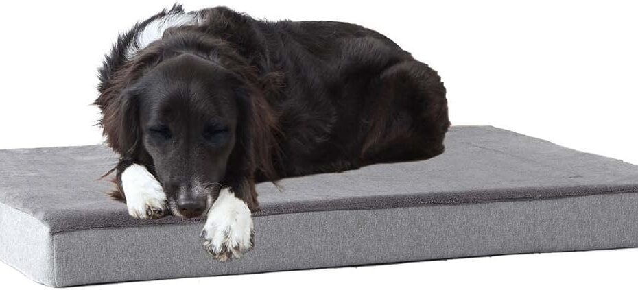Unwind in Comfort: Barkbox Orthopedic Dog Bed Review