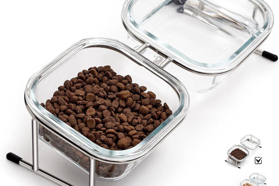 Upgrade Mealtime: The Best Elevated Cat Bowls for Happy, Healthy Pets