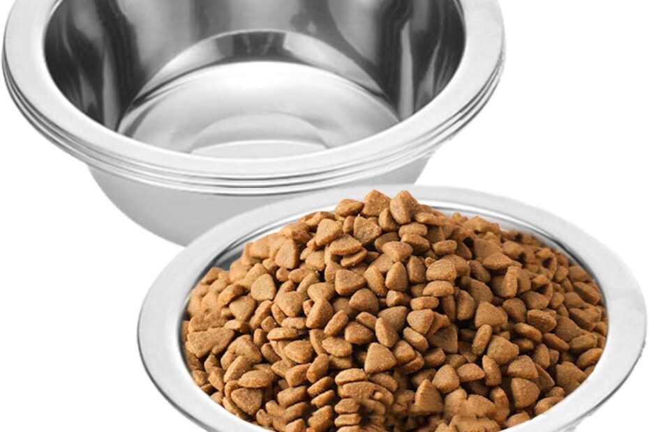 Upgrade Your Pet's Dining: 4 Pack Stainless Steel Dog Bowls Review
