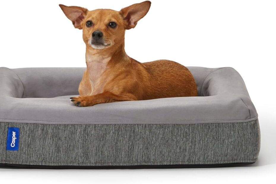Upgrade Your Pup's Sleep: Casper Plush Memory Foam Dog Bed Review
