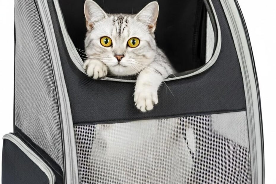 Adventure Awaits: The Ultimate Cat Backpack Carrier for Your Furry Friend