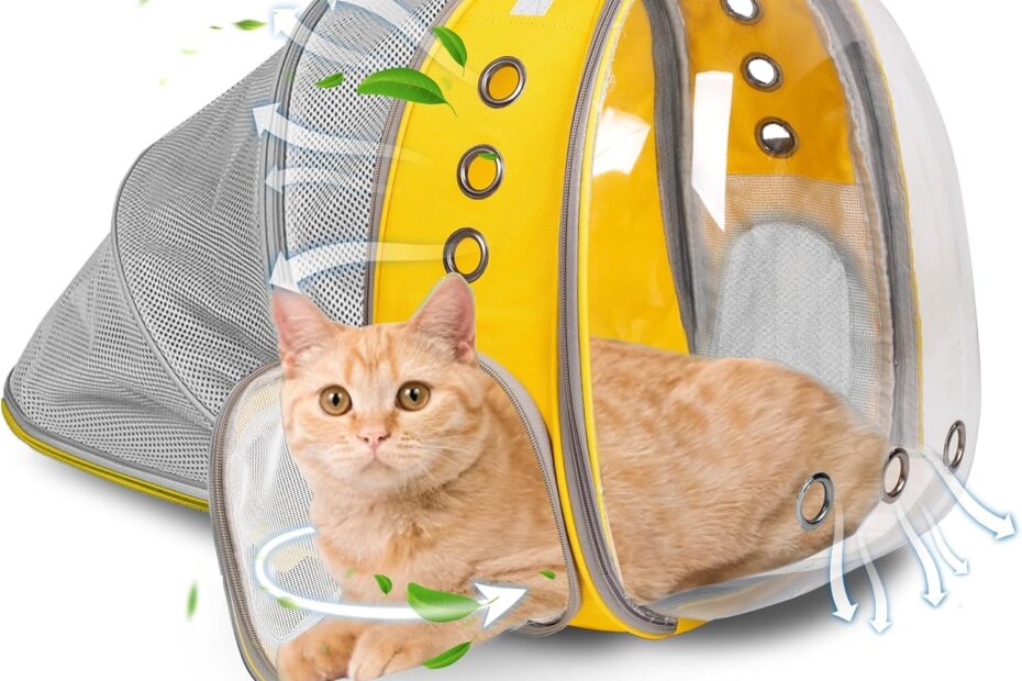 Adventure Awaits: The Ultimate Expandable Cat Backpack for Outdoor Explorations!