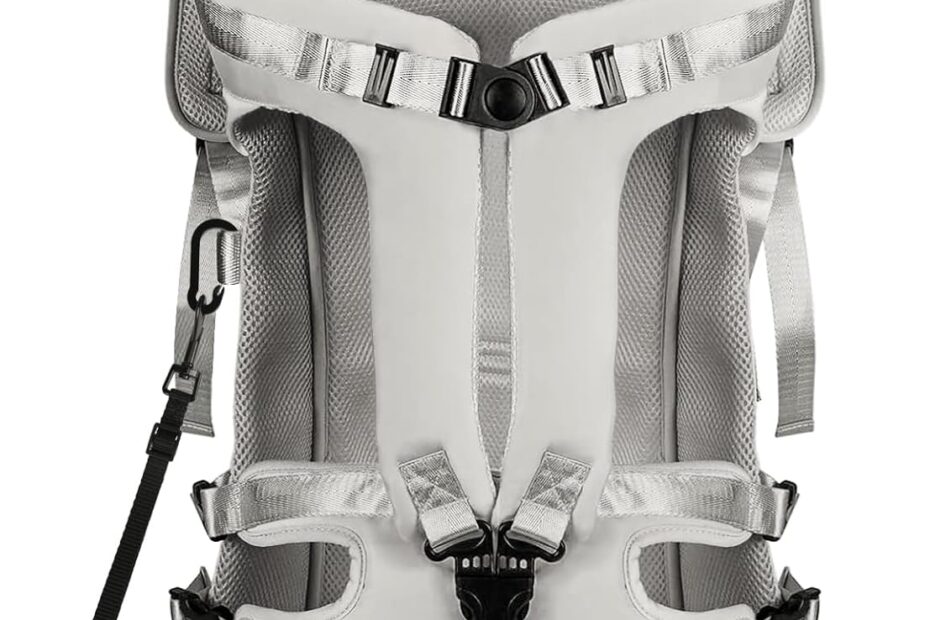 Adventure Awaits: The Ultimate PetBonus Adjustable Dog Carrier for Pawsitive Outings!