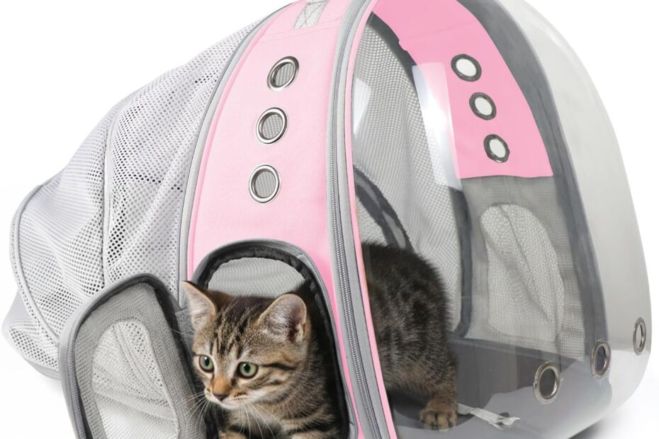 Adventurous Travels with Your Furry Friend: The Ultimate Cat Backpack Carrier Review