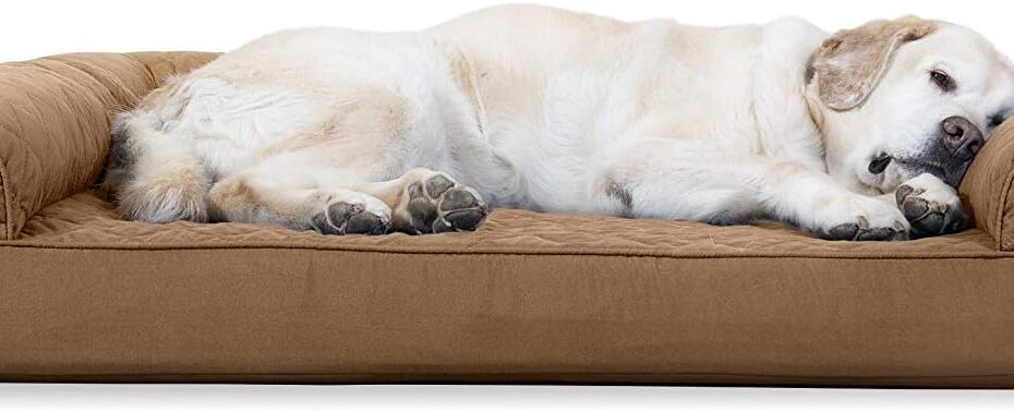 Beat the Heat: Review of the Furhaven Cooling Gel Dog Bed for Large Pups!