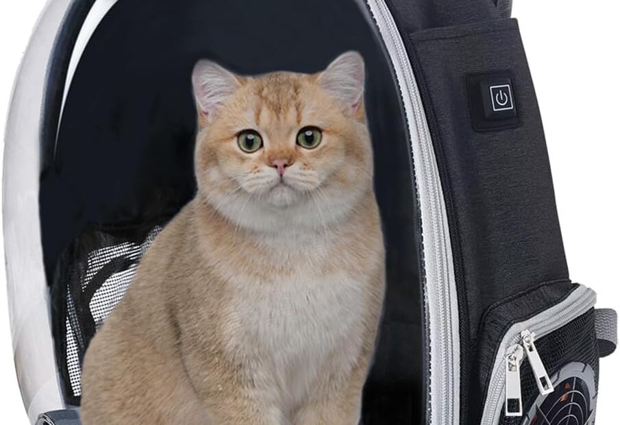 Chill in Style: The Ultimate Cooling Fan Pet Backpack for Travel