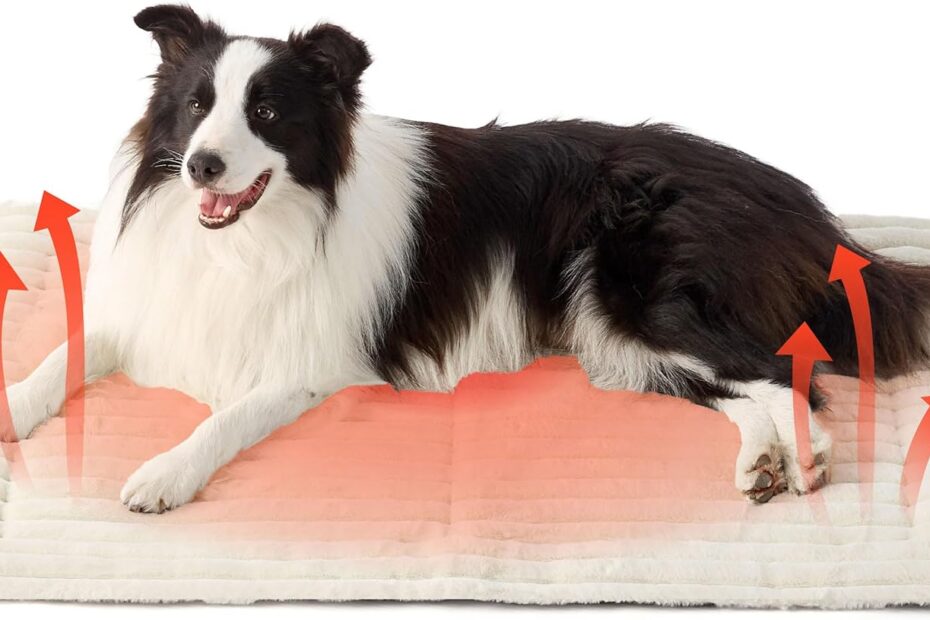 Cozy Comfort: A Review of the Bedsure Self Warming Dog Bed for Large Dogs