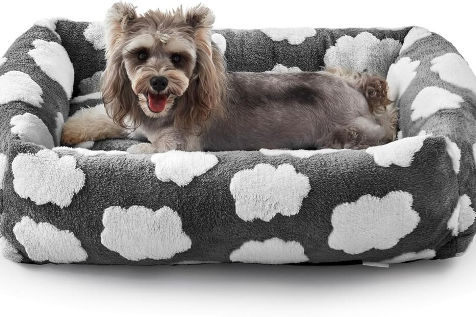 Cozy Comfort: A Review of the JOEJOY Orthopedic Dog Bed for Small Pups