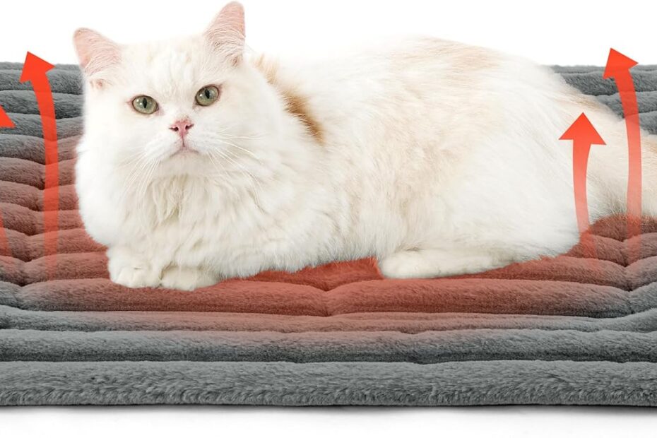 Cozy Comfort for Your Pets: Review of the Bedsure Self Warming Cat Bed