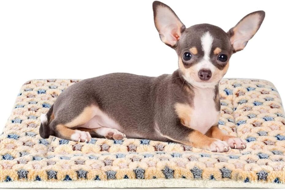 Cozy Comfort for Your Pets: The Mora Pets Dog Crate Pad Review