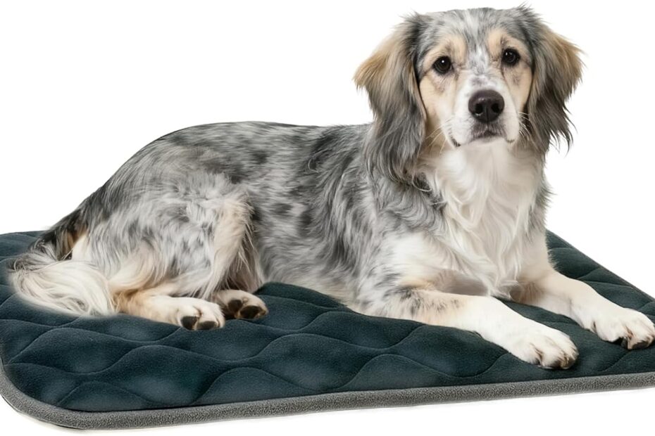 Cozy Comfort: Furrybaby Dog Bed Mat Review – Perfect Crate Companion!