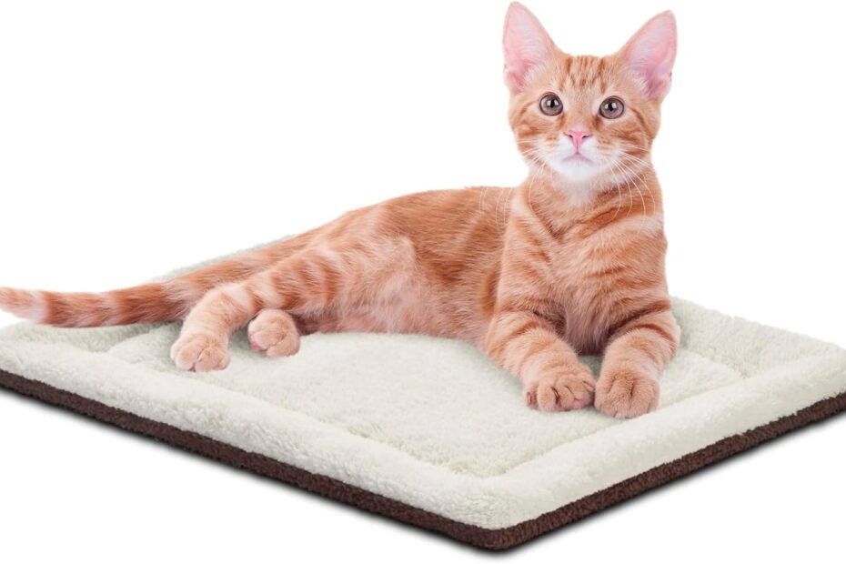 Cozy Comfort: K&H Self-Warming Cat Bed Pad Review