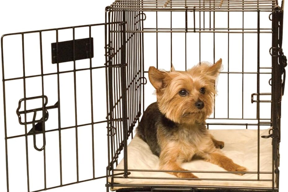 Cozy Comfort: K&H Self-Warming Crate Pad Review for Your Furry Friend