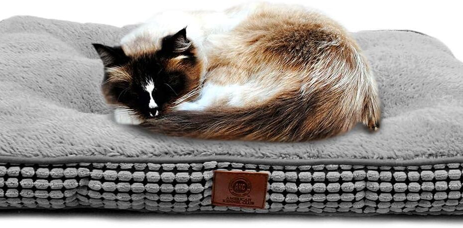 Cozy Comfort: Review of the AKC Small Pixel Crate Dog Bed