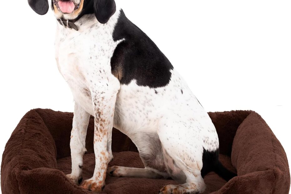 Cozy Comfort: Review of the American Kennel Club Cuddler Pet Bed for Medium Breeds
