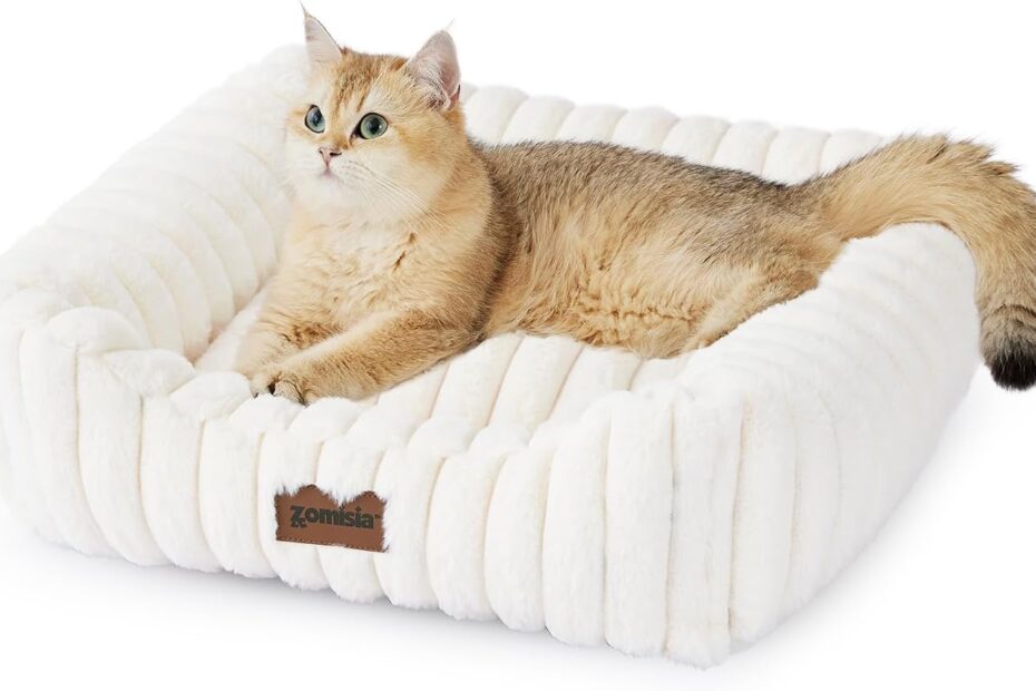 Cozy Comfort: Review of the Best Small Dog and Cat Bed for Your Furry Friends!