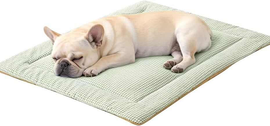 Cozy Comfort: Review of the Washable Cute Dog Bed Mat for Small to Medium Pups