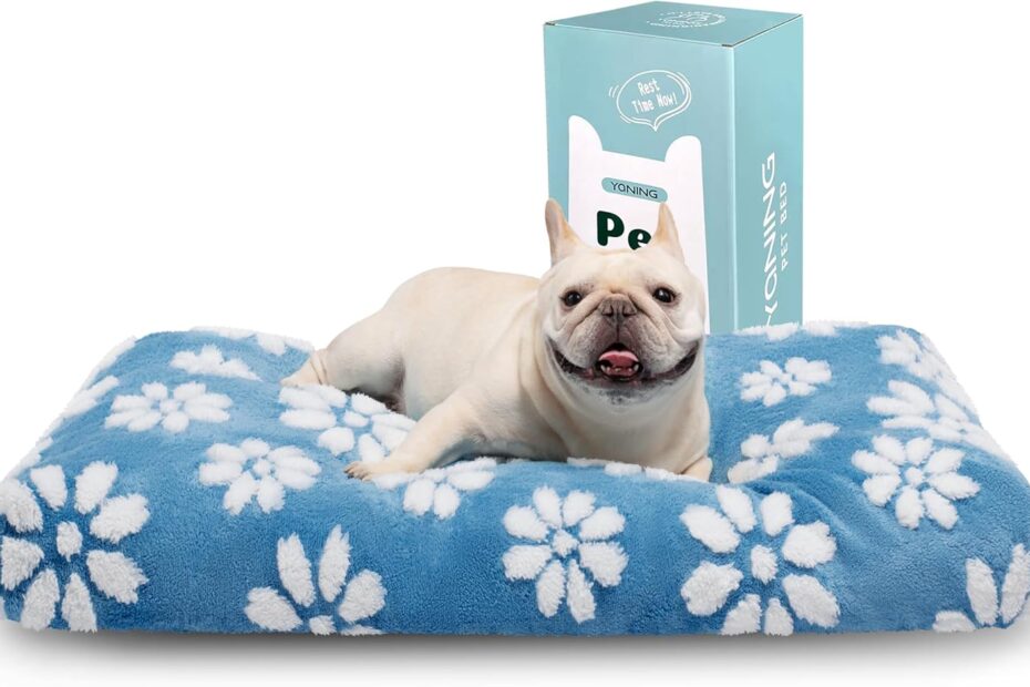 Cozy Comfort: Reviews of the Fluffy Blue Flower Dog Bed for Small to Medium Pets