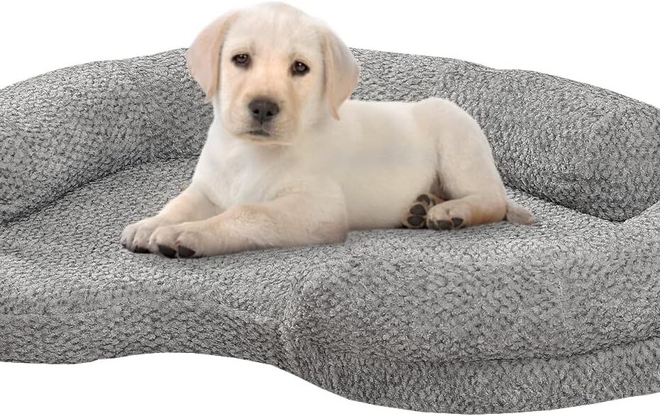 Cozy Comfort: The Best Orthopedic Memory Foam Dog Bed for Small Dogs