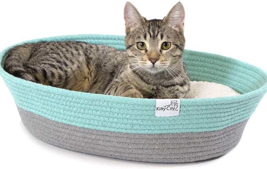 Cozy Comfort: The Review of Kitty City Cat Bed