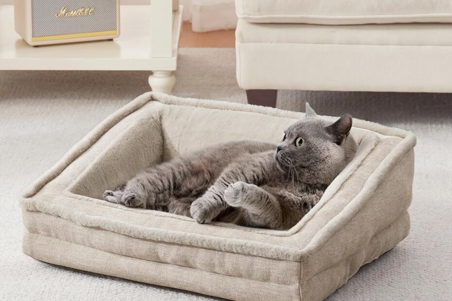 Cozy Comfort: The Ultimate Review of the Washable Cat Couch for Your Furry Friends