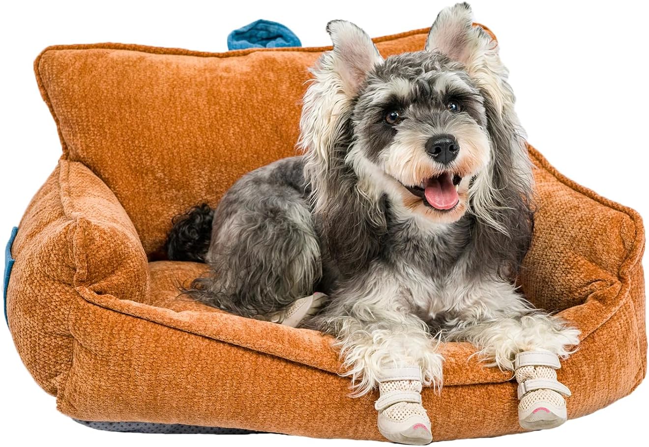 Traveling with Cats Made Easy: Review of the Petskd 2-in-1 Double Cat Carrier