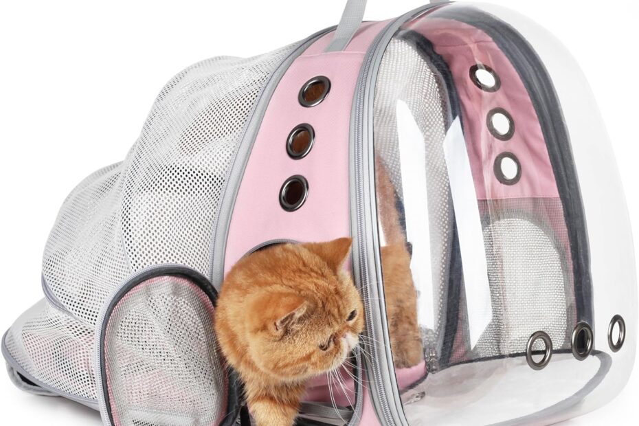 Discover Adventure: Lollimeow Expandable Cat Carrier Backpack Review!