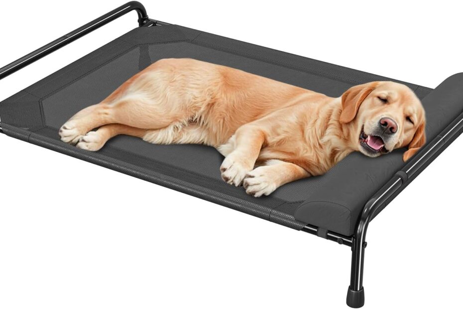 Discover Comfort: The Ultimate Elevated Dog Bed for Large Breeds!