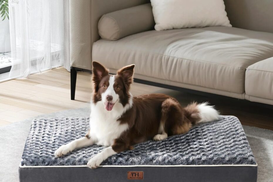 Discover Comfort: The Ultimate Review of the WESTERN HOME WH Dog Bed for Medium Dogs
