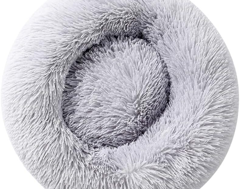 Discover the Ultimate Cozy Retreat: Fluffy Cat Beds You and Your Pet Will Love!