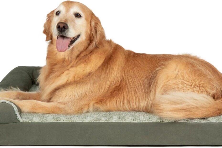 Discover Ultimate Comfort: Furhaven Orthopedic Dog Bed Review!