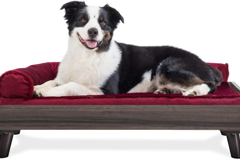 Elevate Your Pet's Comfort: Reviews of Furhaven's Mid-Century Modern Dog Bed Frame