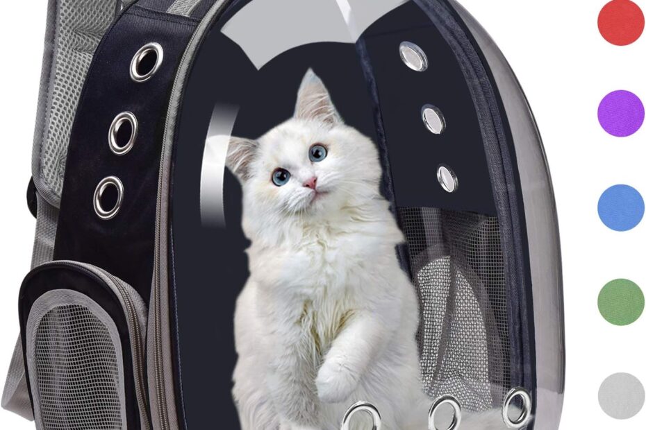 Elevate Your Pet's Travel Game: Review of the Henkelion Bubble Backpack Carrier